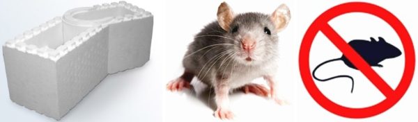 Често се чуват истории за увеличено увреждане на пяната от мишки.